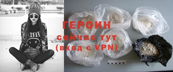 индика Осинники