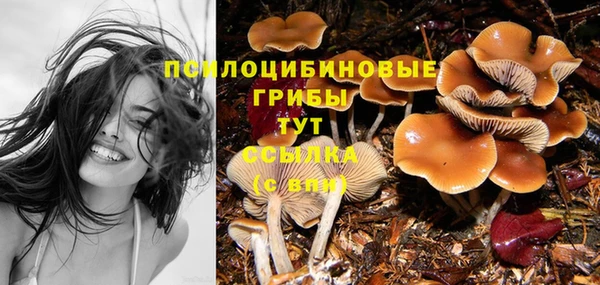спиды Осташков