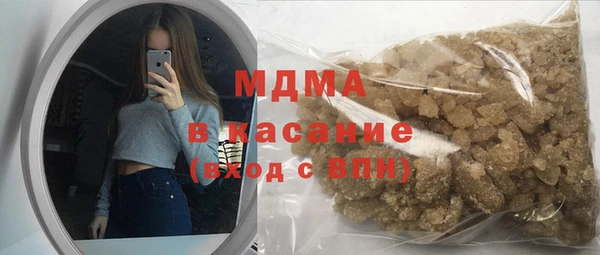 индика Осинники