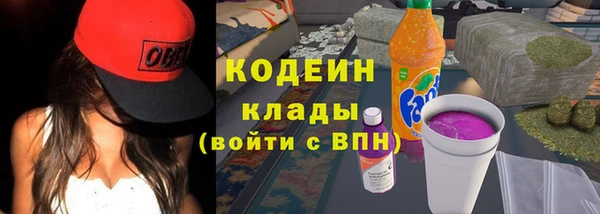 индика Осинники