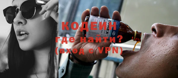 индика Осинники