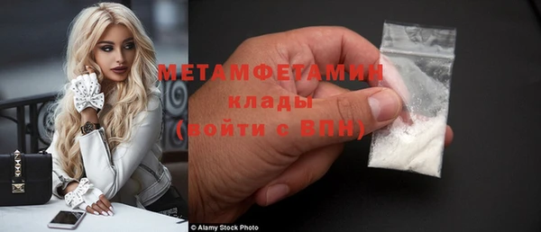 индика Осинники