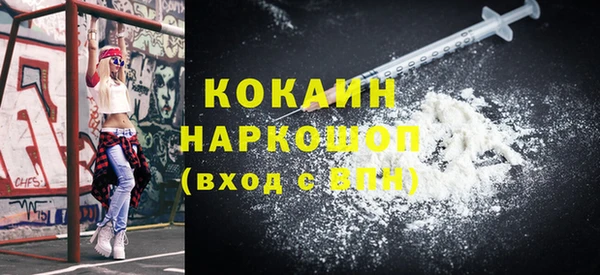 индика Осинники