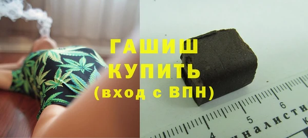 индика Осинники