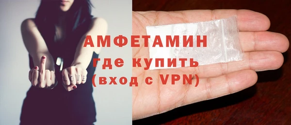 индика Осинники