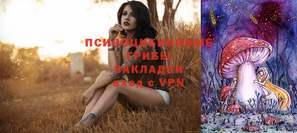 индика Осинники