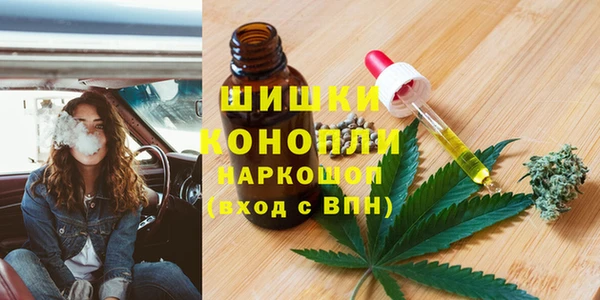 индика Осинники