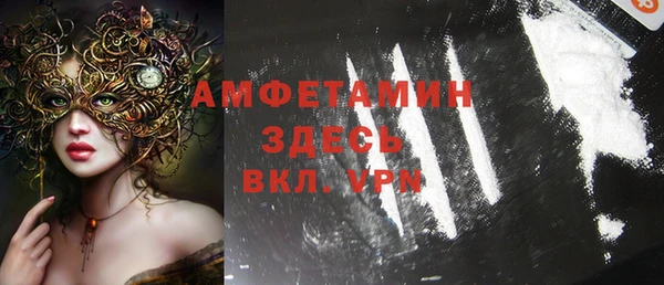 индика Осинники