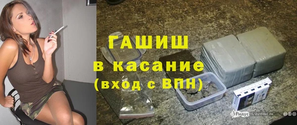 индика Осинники