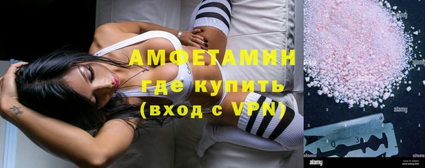индика Осинники