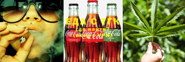 индика Осинники